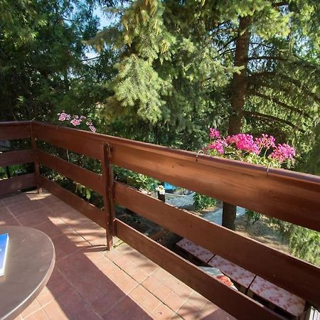 Villa Happy House Velika Remeta Exterior foto