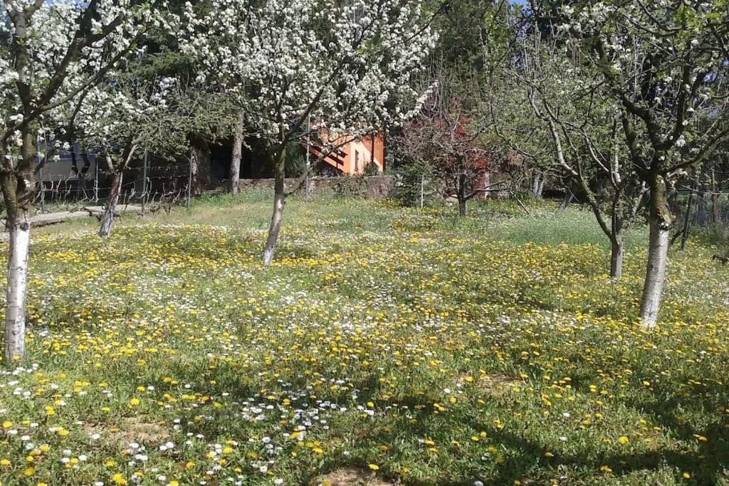 Villa Happy House Velika Remeta Exterior foto